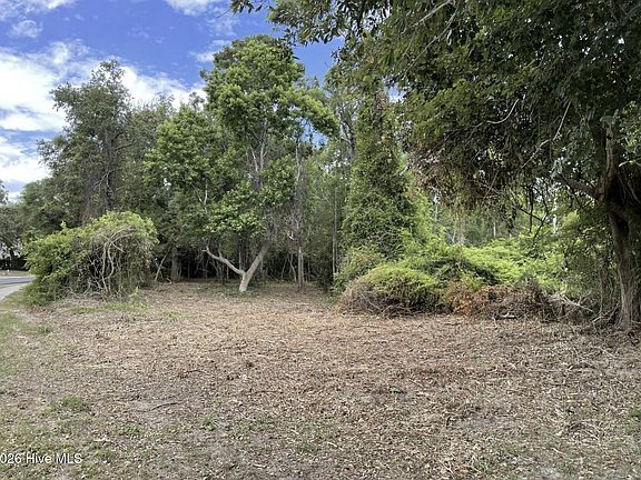 2nd image of L-22 Womble Street LOT 22