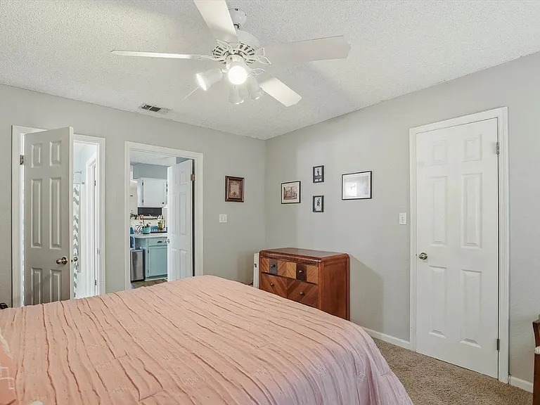 2485 Needle Palm Way — Photo 12