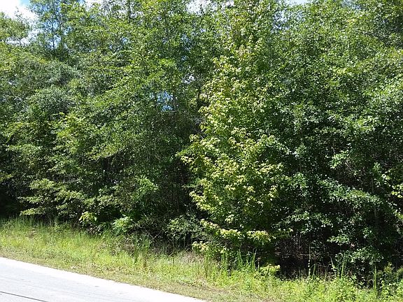 2nd image of 1 E Bayou Forest Dr