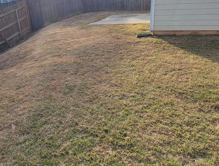 6565 White Walnut Way — Photo 30