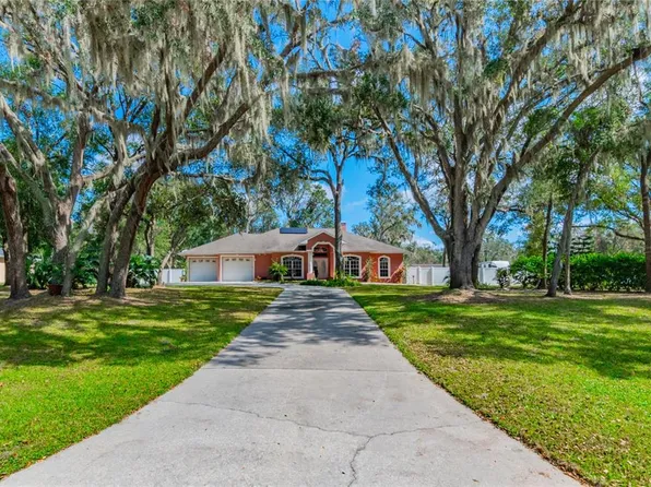 8420 Southwood Pines St, Lithia, FL 33547