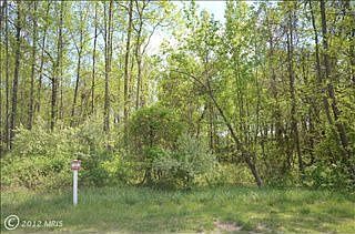 1st image of 3513 Timber Crest Ln