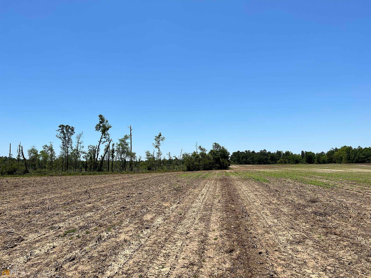 0 Harvey Rd, Abbeville, GA 31001 Zillow