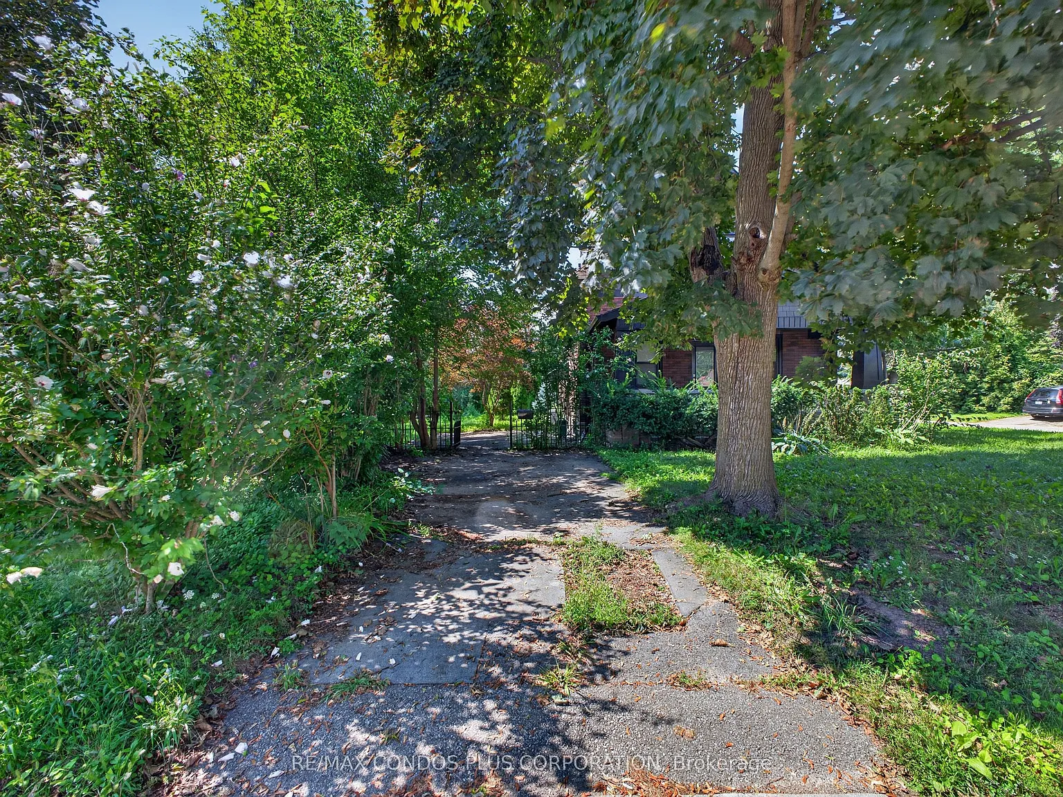 3 bed, $2,800 — Photo 4