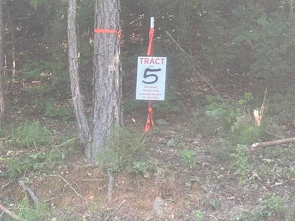 2nd image of TRACT 5 Carroll Hollow Rd