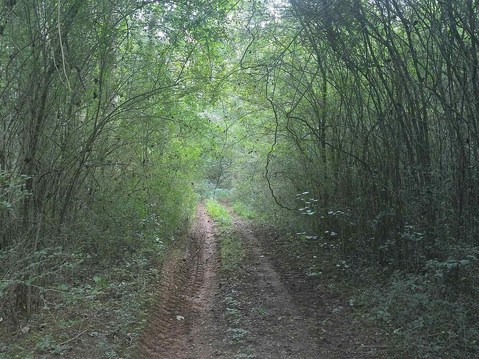 1st image of 0 Highway 19 N #97AC