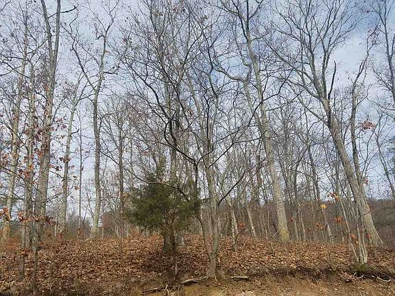 4th image of 810 Wilderness Dr