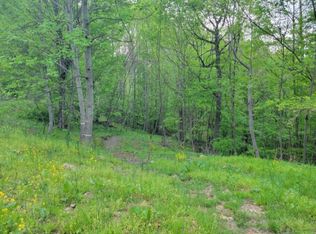 326 Roan Springs Ln, Roan Mountain, TN 37687