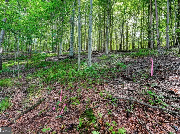 2023 Oakmont Rd, Fallston, MD 21047