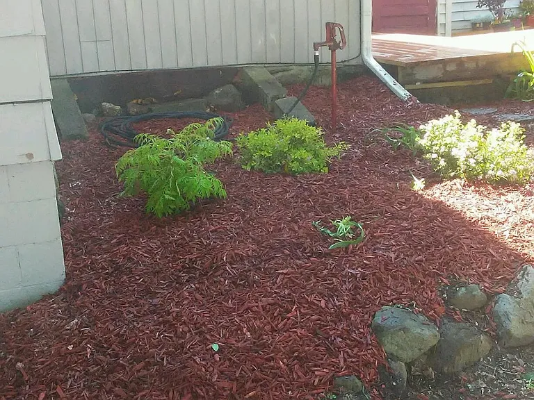 20324 Jerusalem Rd — Photo 32