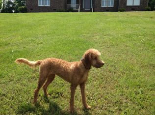 106 Guill Rd, Mount Juliet, TN 37122