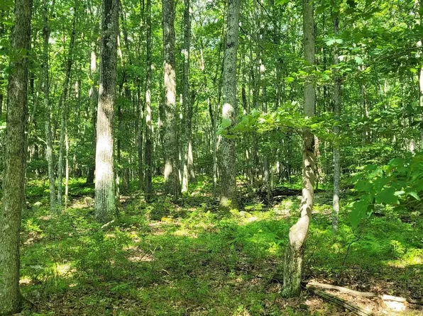 1033 Acacia Dr, Hawley, PA 18428