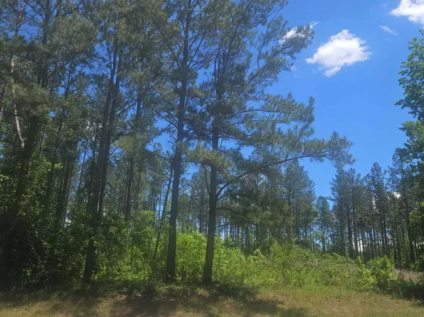 4 State Highway 123, Mitchell, GA 30820