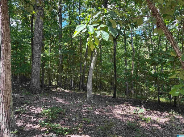0 Allison Ln #2, Trussville, AL 35173