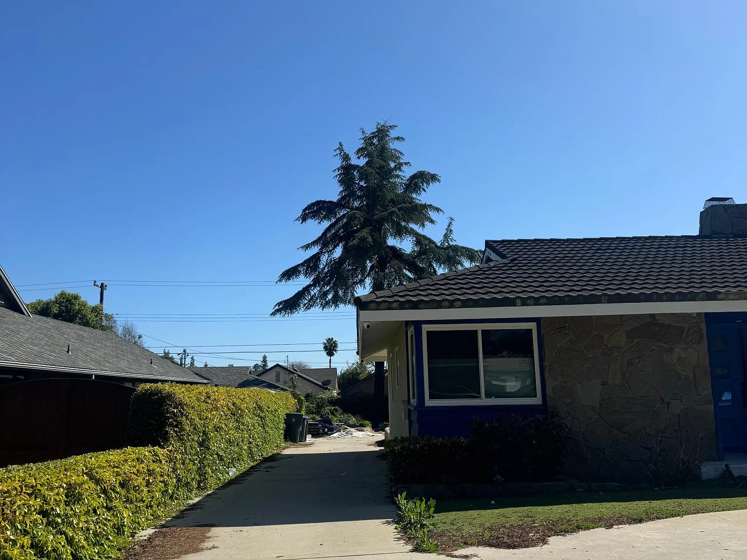 Deodar Cir, Pasadena — Photo 4