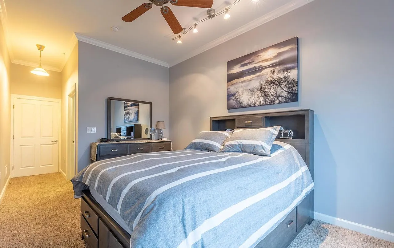 1 bed, $600 — Photo 3