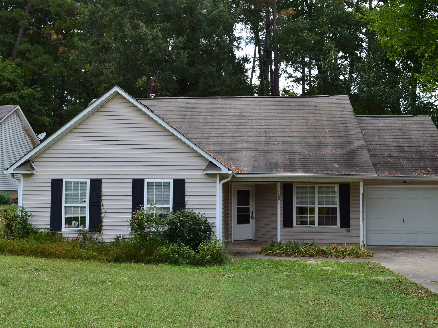 1 bed, 1.0 bath, 1124 sqft, $900 — Photo 1