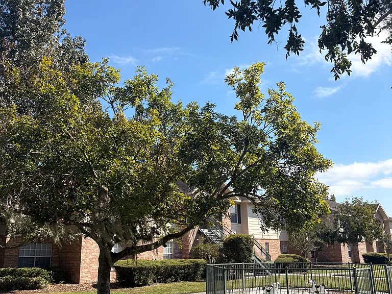 Kensington Apartments — Photo 8