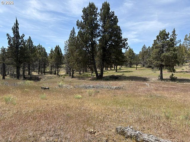 10th image of Wiley Creek Rd