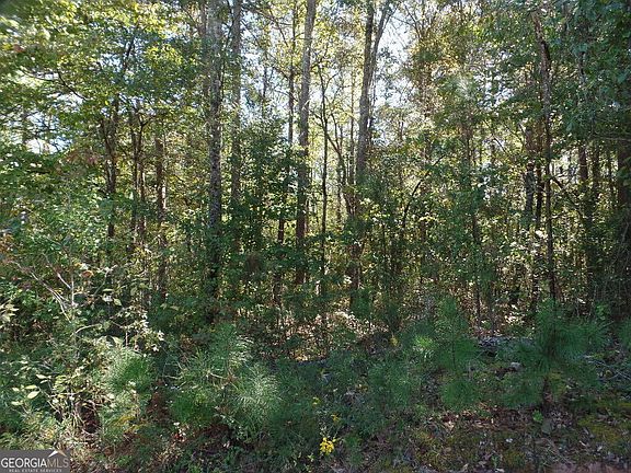 4th image of Dixon Rd