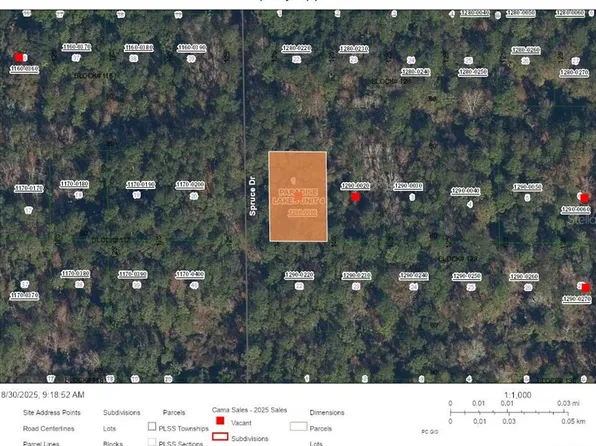 Chipola Dr Lot 1, Georgetown, FL 32139