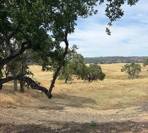 3rd image of 5134 Little John Rd