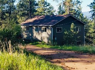 31263 Evans View Ln, Pine, CO 80470