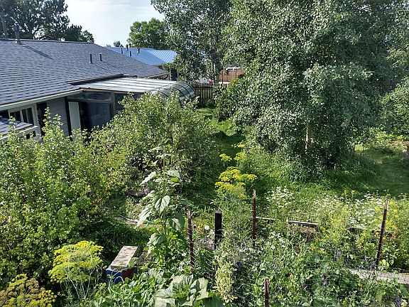 house, sunroom, backyard