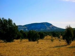 284 N Westwood Rnch, Seligman, AZ 86337