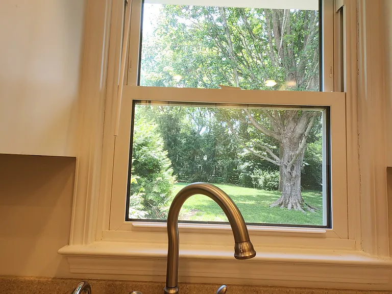 View from Sink