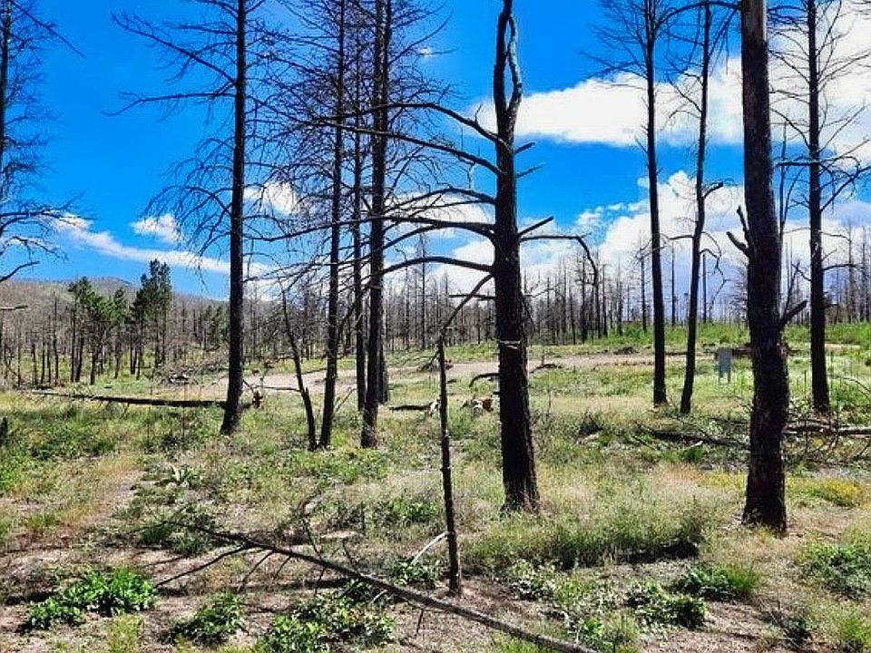 2nd image of 0 Burgoyn Loop #1706