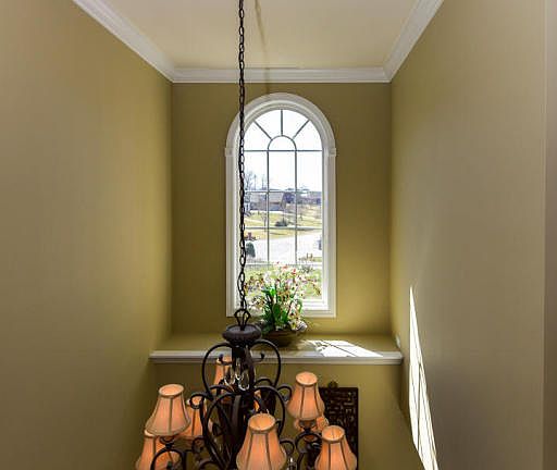 3rd image of 525 Cypress Dr