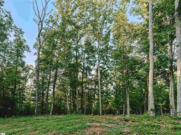 3rd image of 200 Chestnut Mountain Rd Lot 1