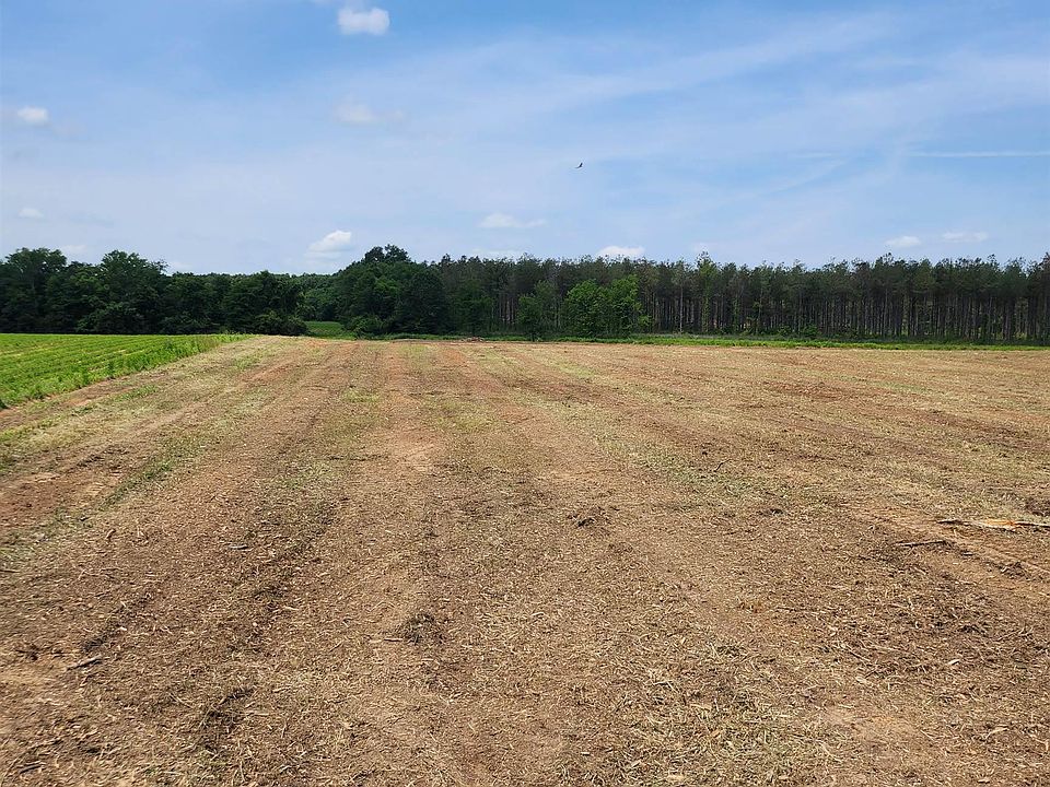 2nd image of LOT 1 Kab Loop Rd