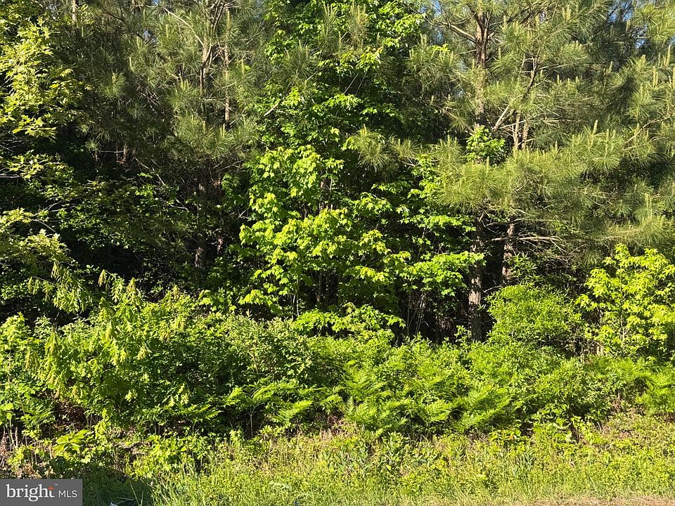 1st image of Gaskins Beach Rd