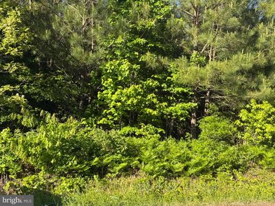 Gaskins Beach Rd, Reedville, VA, 22539