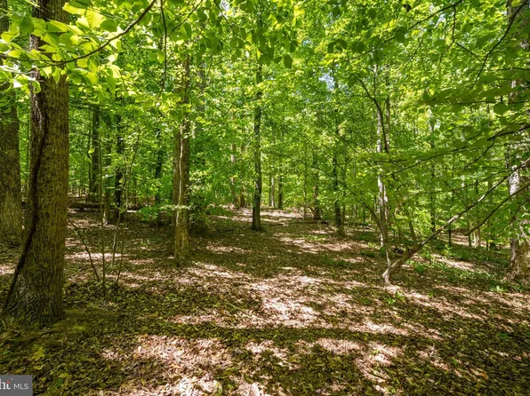 Letcher Rd E, Brandywine, MD 20613