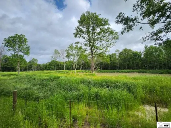 0 Quarter Horse Ln, Winnsboro, LA 71295