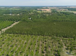 10 Bud Diamond Rd, Jay, FL 32565