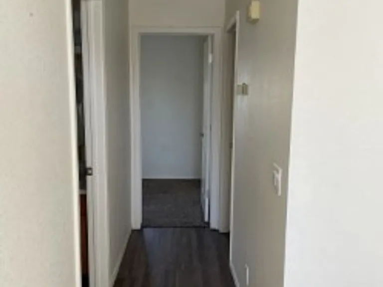 2444 Hummingbird Ln — Photo 8