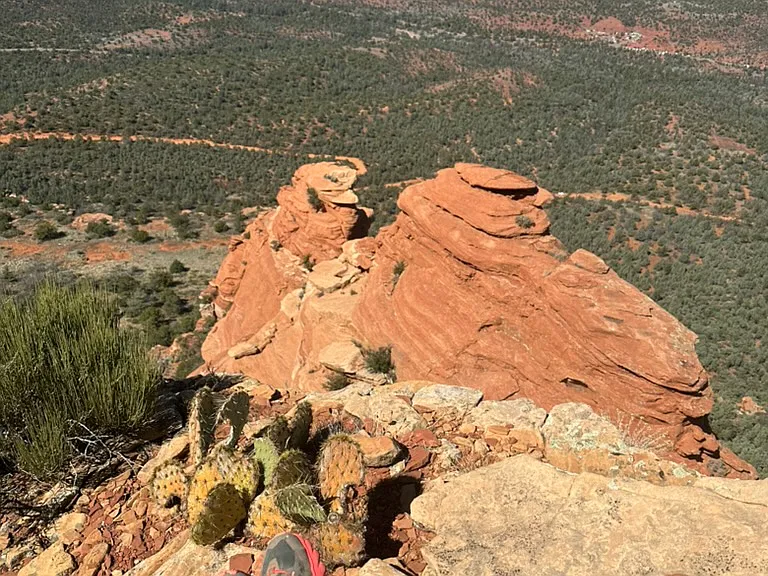 Sedona red rock life.