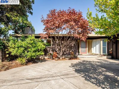 1039 San Antonio Ave, Alameda, CA, 94501