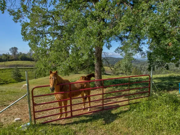 Trembath Mountain Rd, Fiddletown, CA 95629