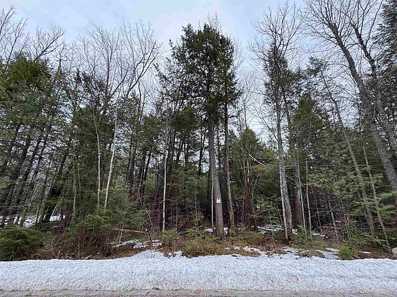 5th image of 26-14 Winnipesaukee Drive town lot 26 subdivision lot 14