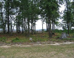 2nd image of 125 Bryce Ryan Cir