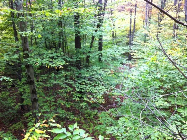 469 Earls Mill Rd, Seneca, SC 29678