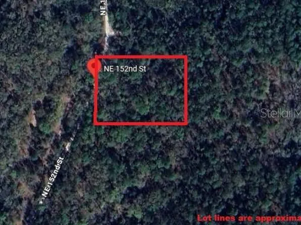 NE 152nd St, Waldo, FL 32694