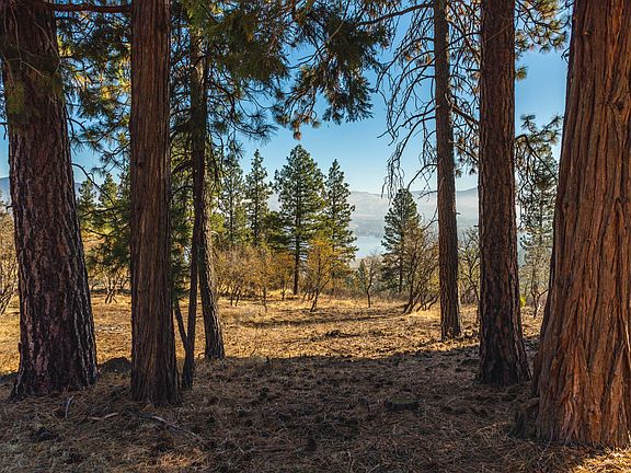 3rd image of 6051 Olson Mountain Ct