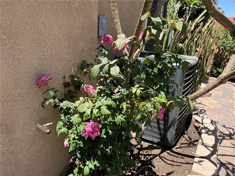 77184 California Dr — Photo 53