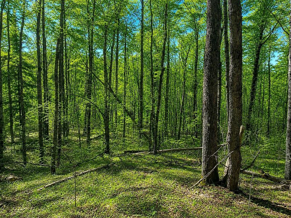 1st image of County Road 8
